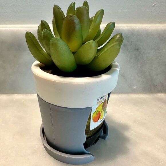 Very Rare Bath and Bodyworks Lifelike Cactus Succulent Plant Pocket Bac Holder D - Picture 3 of 3